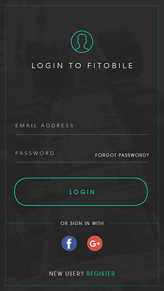 Web / Mobile App / Product development